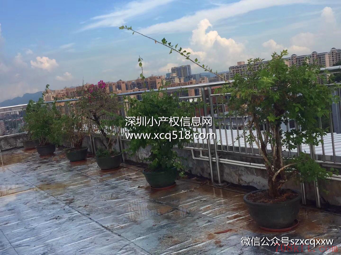 公明地铁口小产权房【红花公馆】4栋小区房,村委盖章,带大型停车场