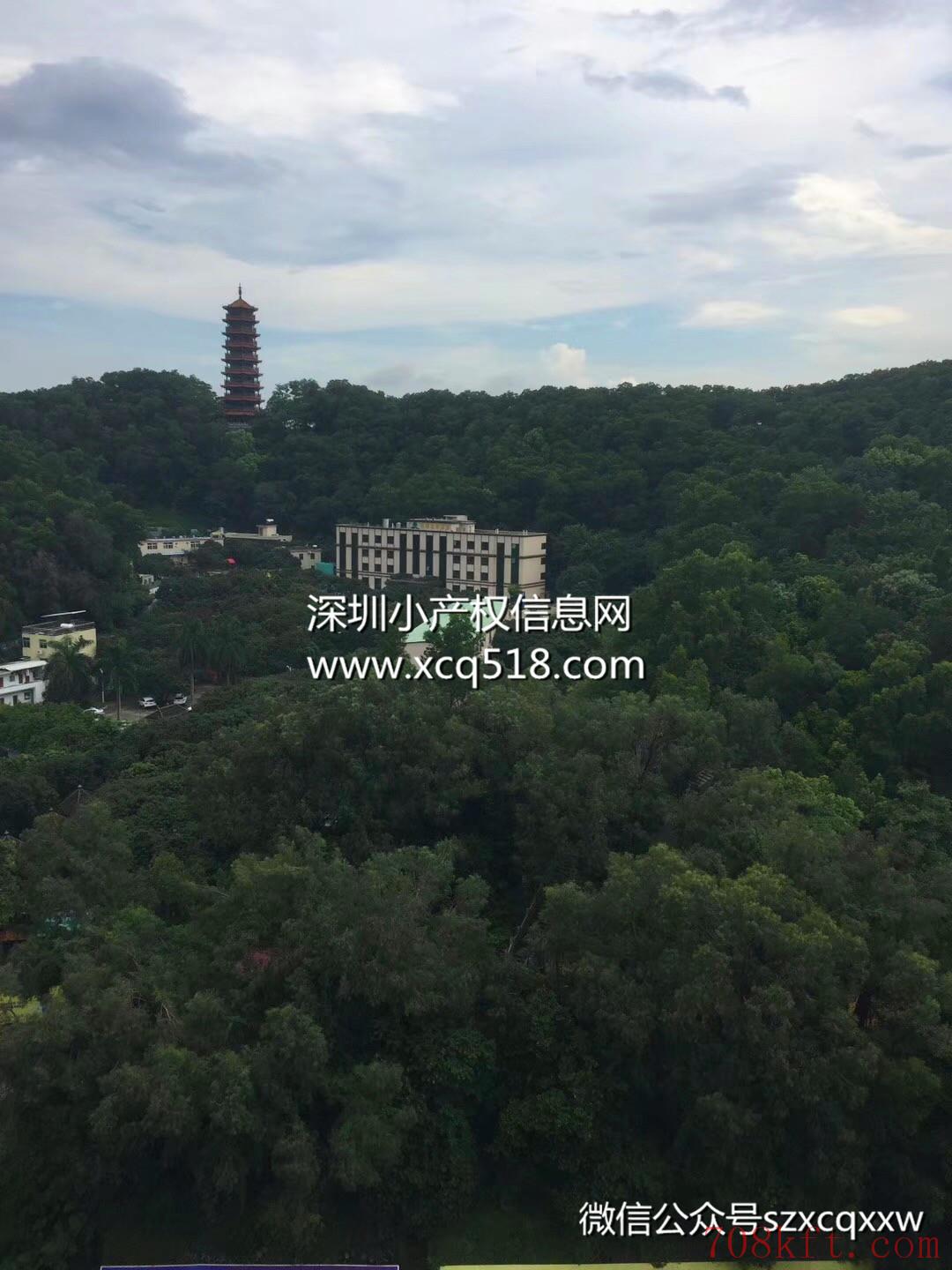 公明地铁口小产权房【红花公馆】4栋小区房,村委盖章,带大型停车场