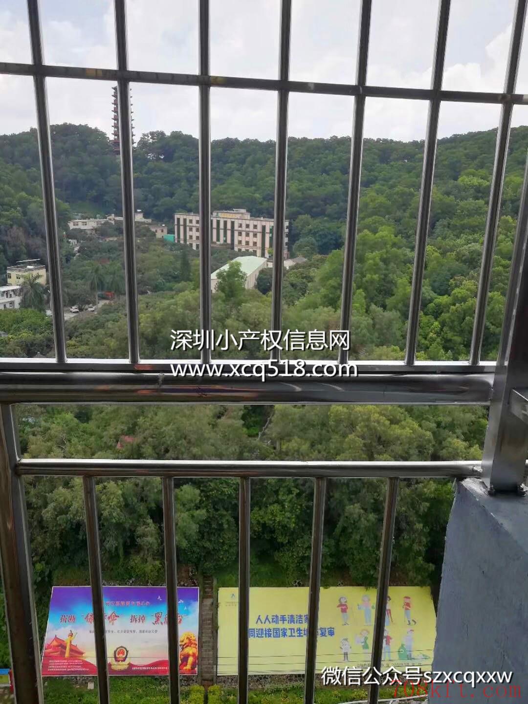 公明地铁口小产权房【红花公馆】4栋小区房,村委盖章,带大型停车场