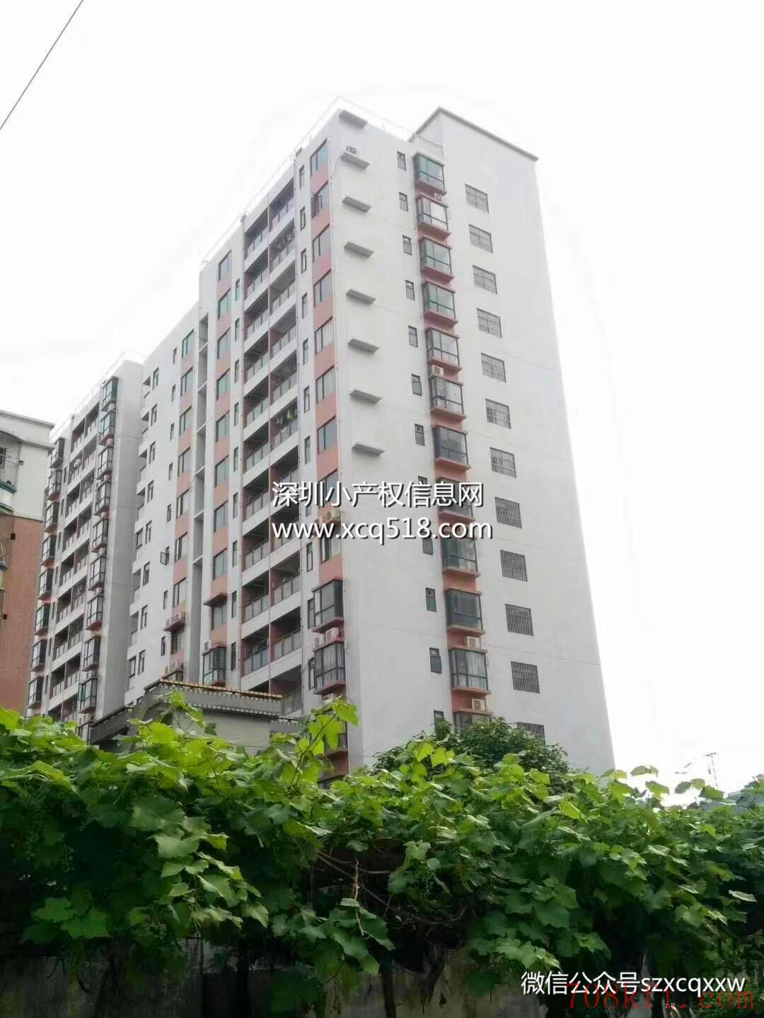 东莞长安小产权房【鸿瑞花园】2栋封闭式花园社区 带停车场,均价5500元