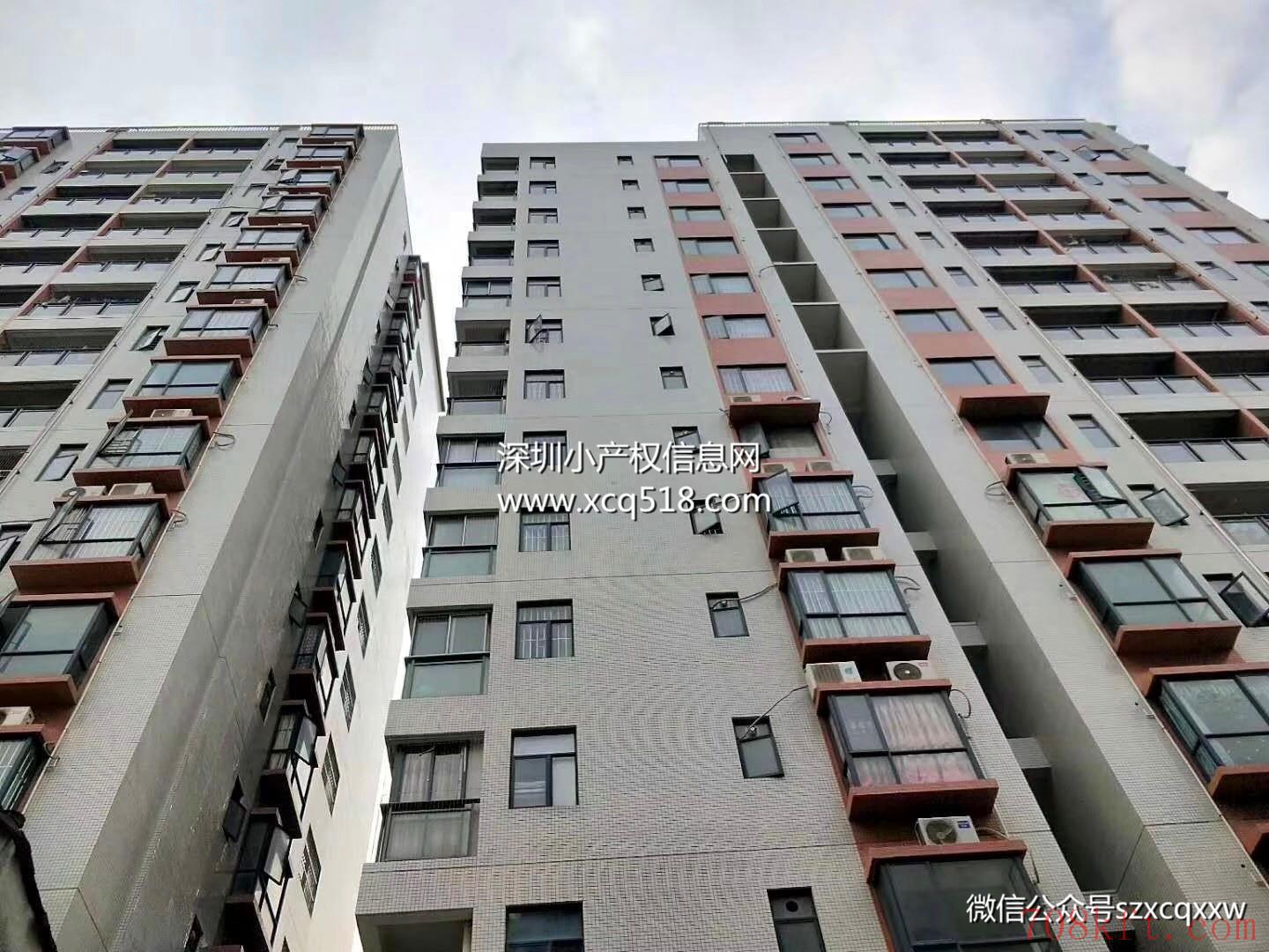 东莞长安小产权房【鸿瑞花园】2栋封闭式花园社区 带停车场,均价5500元