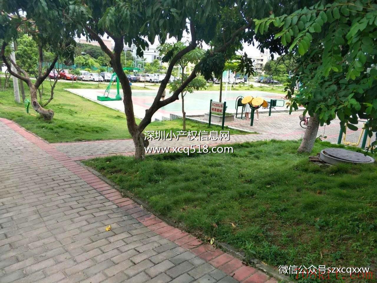 东莞大朗小产权房开盘了【景峰雅苑】3栋200套,双地铁口物业