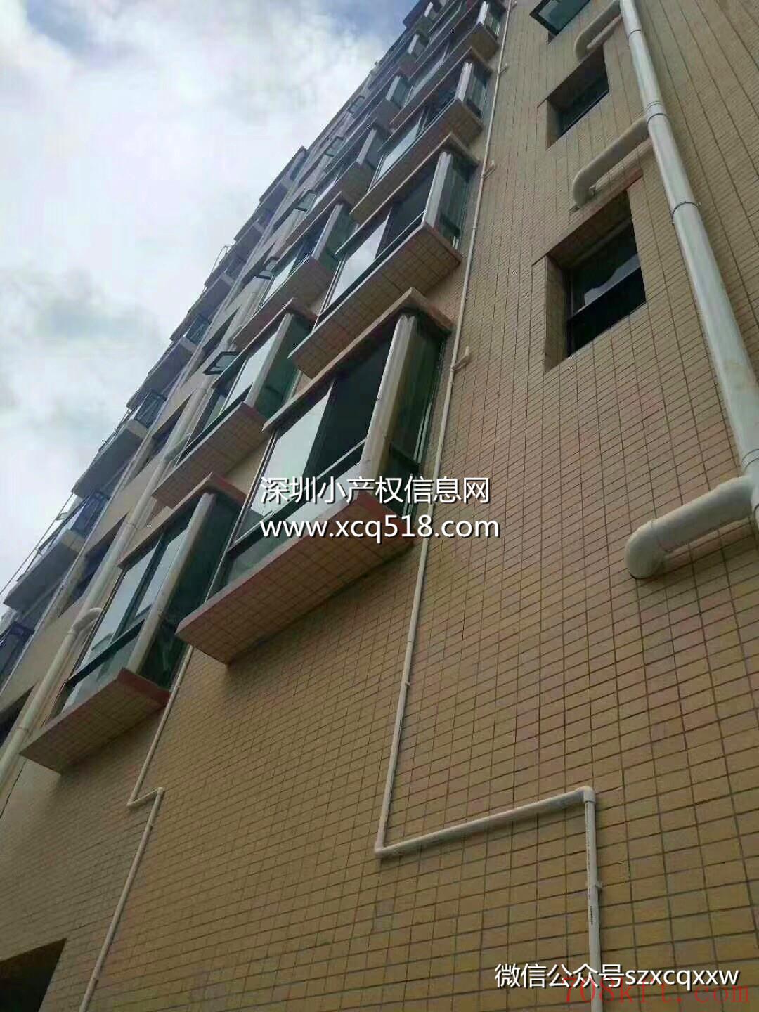 东莞塘厦小产权房出售【观湖大厦】深圳0距离,精装,牛湖地铁口800米